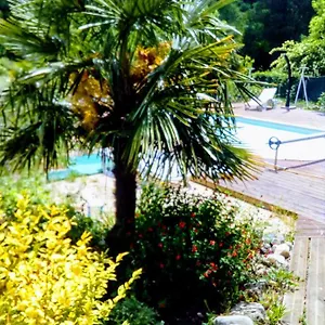 ** Hotel De France
